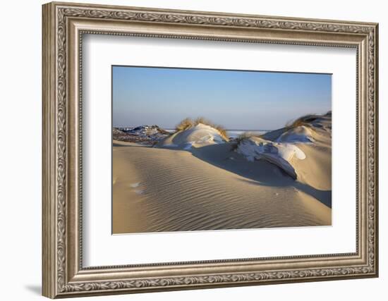 Wintry Dune Landscape Drifting Dune of List on the Island of Sylt in the Evening Light-Uwe Steffens-Framed Photographic Print