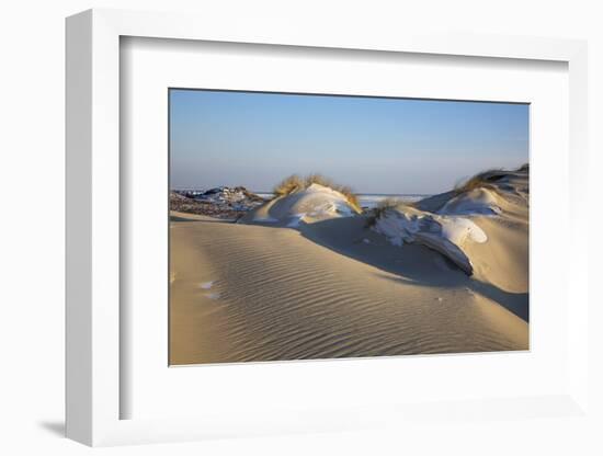 Wintry Dune Landscape Drifting Dune of List on the Island of Sylt in the Evening Light-Uwe Steffens-Framed Photographic Print