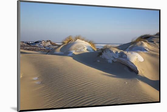 Wintry Dune Landscape Drifting Dune of List on the Island of Sylt in the Evening Light-Uwe Steffens-Mounted Photographic Print