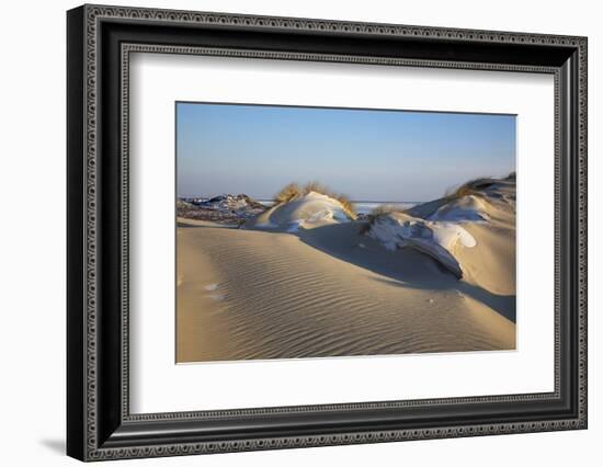 Wintry Dune Landscape Drifting Dune of List on the Island of Sylt in the Evening Light-Uwe Steffens-Framed Photographic Print