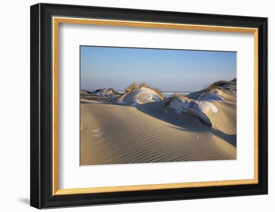 Wintry Dune Landscape Drifting Dune of List on the Island of Sylt in the Evening Light-Uwe Steffens-Framed Photographic Print