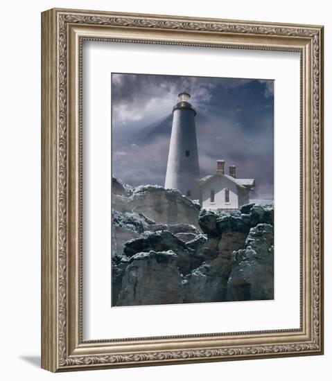 Wintry Hope II-Steve Hunziker-Framed Art Print