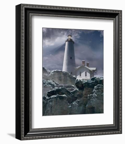 Wintry Hope II-Steve Hunziker-Framed Art Print