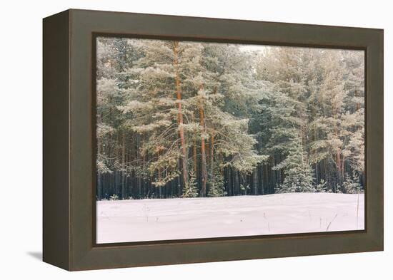 Wintry Landscape Scenery with Flat County and Woods, Snow Landscape Background for Retro Christmas-Supertrooper-Framed Premier Image Canvas