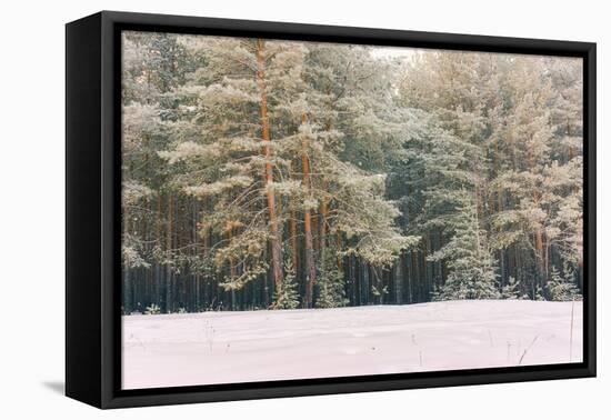 Wintry Landscape Scenery with Flat County and Woods, Snow Landscape Background for Retro Christmas-Supertrooper-Framed Premier Image Canvas