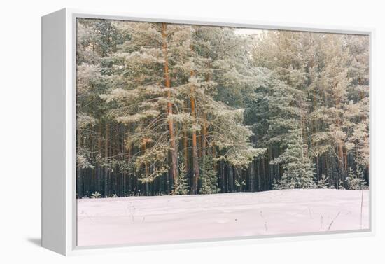 Wintry Landscape Scenery with Flat County and Woods, Snow Landscape Background for Retro Christmas-Supertrooper-Framed Premier Image Canvas