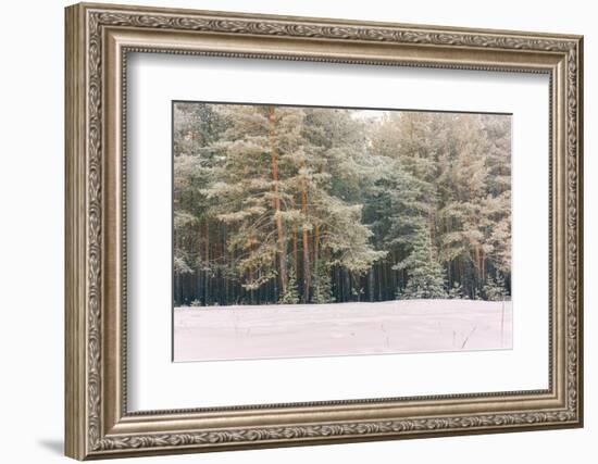 Wintry Landscape Scenery with Flat County and Woods, Snow Landscape Background for Retro Christmas-Supertrooper-Framed Photographic Print