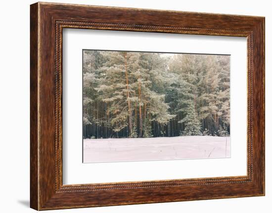 Wintry Landscape Scenery with Flat County and Woods, Snow Landscape Background for Retro Christmas-Supertrooper-Framed Photographic Print