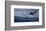 Wintry Runner-Steve Hunziker-Framed Art Print