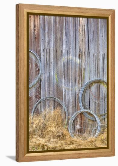 Wire Coiled on Barn Wall, Petersen Farm, Silverdale, Washington, USA-Jaynes Gallery-Framed Premier Image Canvas
