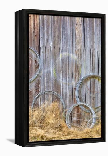 Wire Coiled on Barn Wall, Petersen Farm, Silverdale, Washington, USA-Jaynes Gallery-Framed Premier Image Canvas