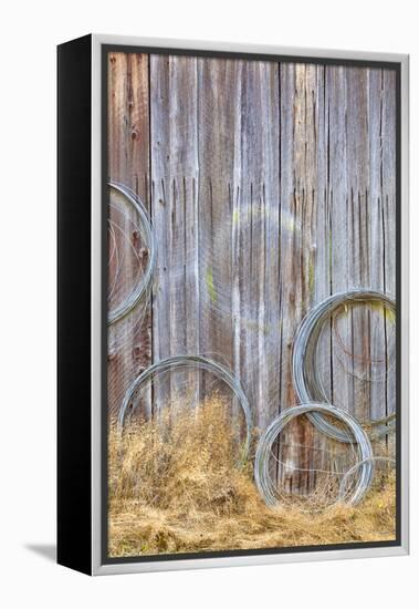 Wire Coiled on Barn Wall, Petersen Farm, Silverdale, Washington, USA-Jaynes Gallery-Framed Premier Image Canvas