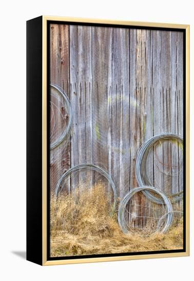 Wire Coiled on Barn Wall, Petersen Farm, Silverdale, Washington, USA-Jaynes Gallery-Framed Premier Image Canvas