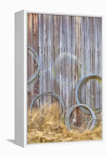 Wire Coiled on Barn Wall, Petersen Farm, Silverdale, Washington, USA-Jaynes Gallery-Framed Premier Image Canvas