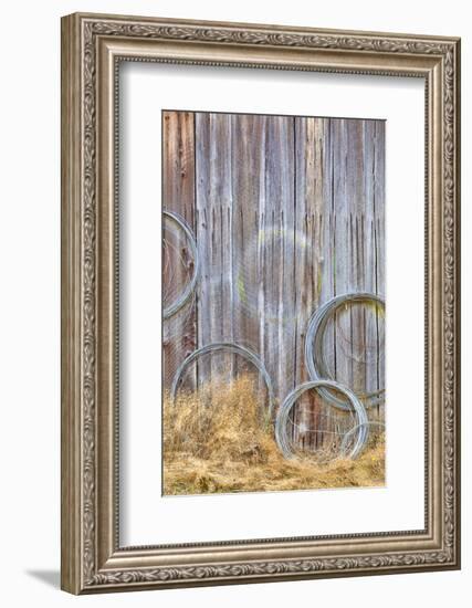 Wire Coiled on Barn Wall, Petersen Farm, Silverdale, Washington, USA-Jaynes Gallery-Framed Photographic Print