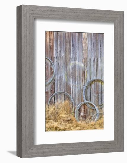 Wire Coiled on Barn Wall, Petersen Farm, Silverdale, Washington, USA-Jaynes Gallery-Framed Photographic Print