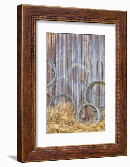 Wire Coiled on Barn Wall, Petersen Farm, Silverdale, Washington, USA-Jaynes Gallery-Framed Photographic Print