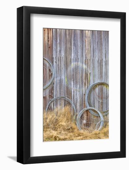 Wire Coiled on Barn Wall, Petersen Farm, Silverdale, Washington, USA-Jaynes Gallery-Framed Photographic Print