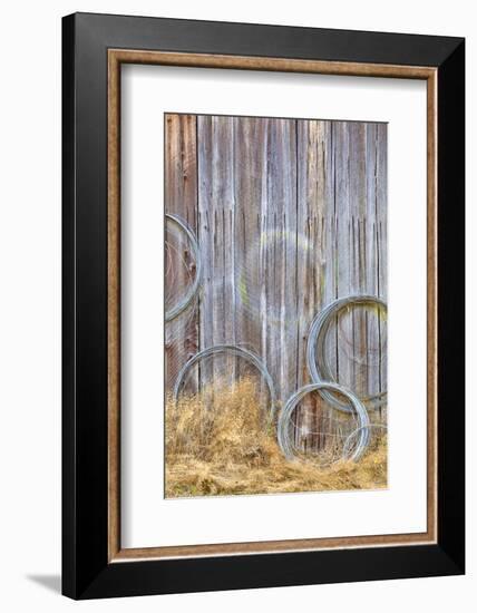 Wire Coiled on Barn Wall, Petersen Farm, Silverdale, Washington, USA-Jaynes Gallery-Framed Photographic Print