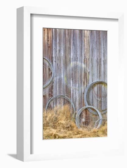 Wire Coiled on Barn Wall, Petersen Farm, Silverdale, Washington, USA-Jaynes Gallery-Framed Photographic Print