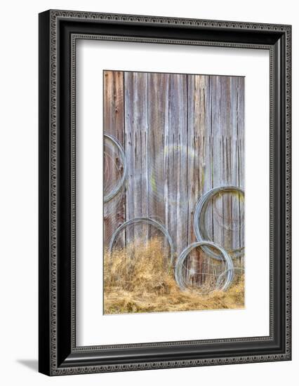 Wire Coiled on Barn Wall, Petersen Farm, Silverdale, Washington, USA-Jaynes Gallery-Framed Photographic Print