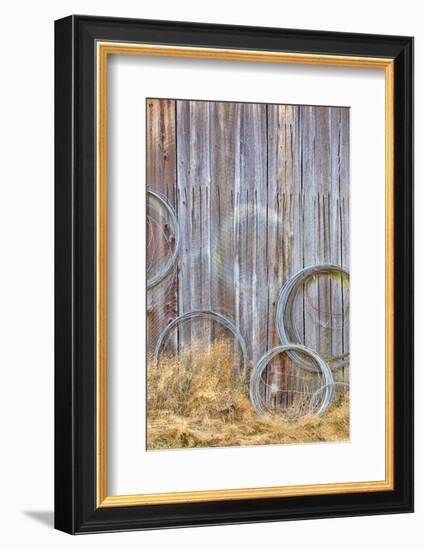 Wire Coiled on Barn Wall, Petersen Farm, Silverdale, Washington, USA-Jaynes Gallery-Framed Photographic Print