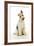 Wire Fox Terrier-null-Framed Photographic Print