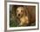 Wire Haired Dachshund, Portrait in Wooden Barrel-Lynn M. Stone-Framed Photographic Print