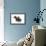 Wire-Haired Dachshund-null-Framed Photographic Print displayed on a wall