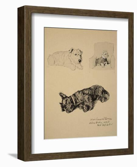 Wire-Haired Terrier, Aberdeen and West Highlander, 1930, Just Among Friends, Aldin, c.C. Windsor-Cecil Aldin-Framed Giclee Print