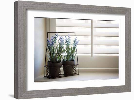 Wire planter holding pots of lavender-Mark Lord-Framed Photo