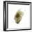 Wired 3-Kimberly Allen-Framed Art Print