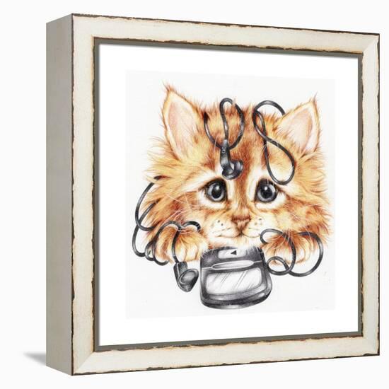 Wired Kitten-Karen Middleton-Framed Premier Image Canvas