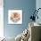 Wired Kitten-Karen Middleton-Giclee Print displayed on a wall