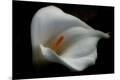Premium Photographic Print
