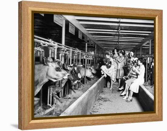 Wisconsin: Dairy Farm-null-Framed Premier Image Canvas