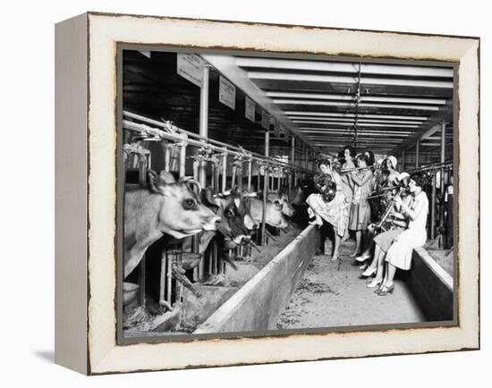 Wisconsin: Dairy Farm-null-Framed Premier Image Canvas