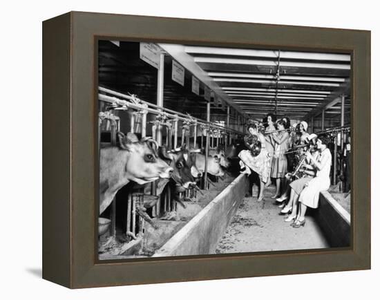 Wisconsin: Dairy Farm-null-Framed Premier Image Canvas