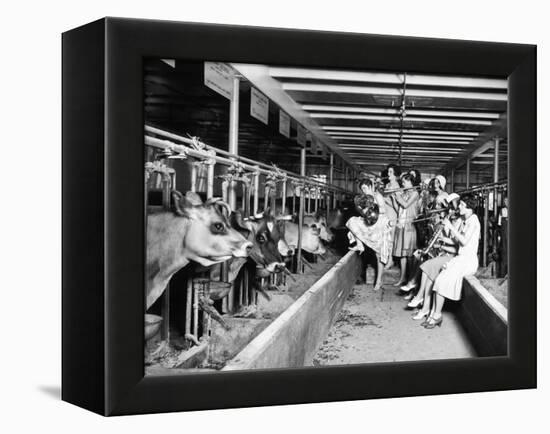 Wisconsin: Dairy Farm-null-Framed Premier Image Canvas