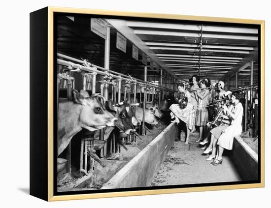 Wisconsin: Dairy Farm-null-Framed Premier Image Canvas