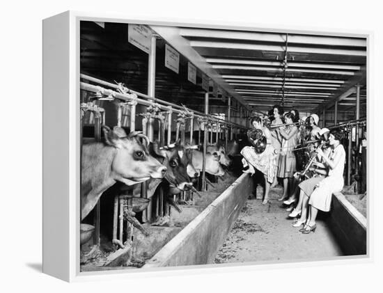 Wisconsin: Dairy Farm-null-Framed Premier Image Canvas