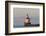 Wisconsin Point Lighthouse Near Superior, Wisconsin, USA-Chuck Haney-Framed Photographic Print