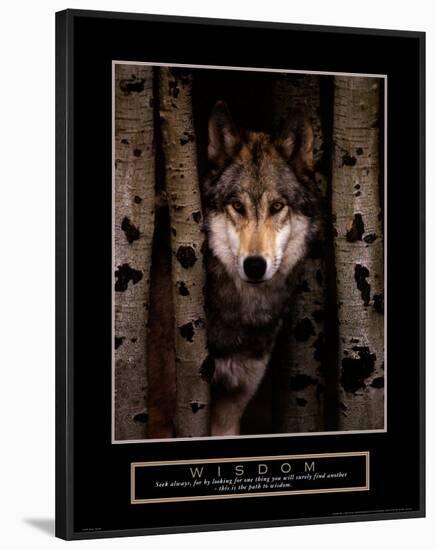 Wisdom: Gray Wolf-null-Framed Art Print