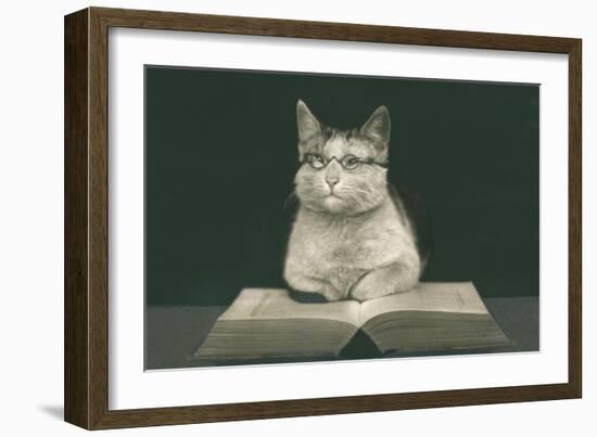Wise Cat Reading Book-null-Framed Premium Giclee Print