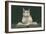 Wise Cat Reading Book-null-Framed Premium Giclee Print