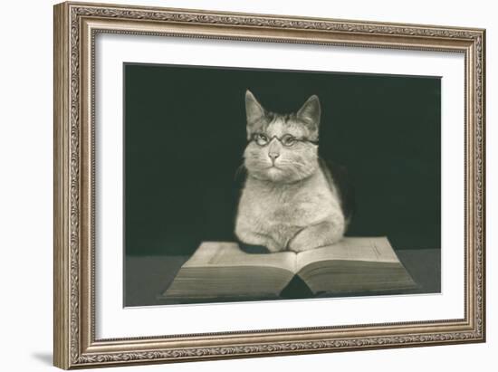 Wise Cat Reading Book-null-Framed Art Print