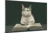 Wise Cat Reading Book-null-Mounted Art Print