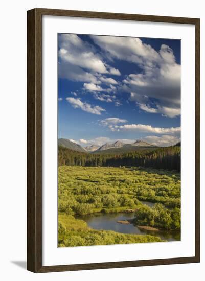 Wise River, Pioneer Mountains, Beaverhead-Deer Lodge National Forest, Montana, USA-Chuck Haney-Framed Photographic Print