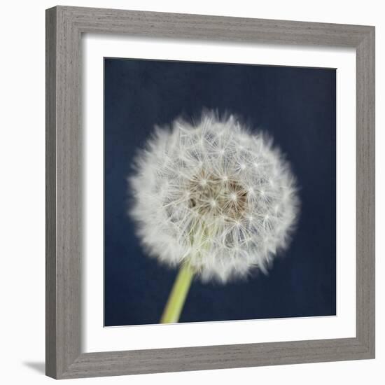 Wish Garden-Susannah Tucker-Framed Art Print