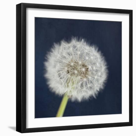 Wish Garden-Susannah Tucker-Framed Art Print